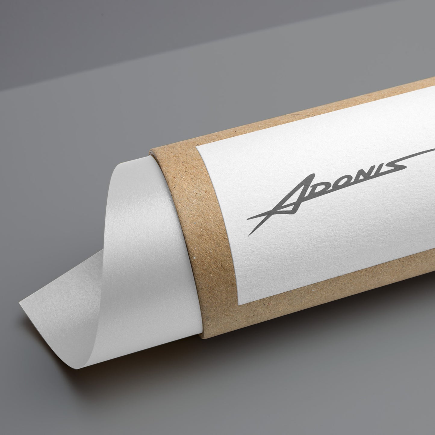 Porsche GT3 Cup ArtCar TAG Heuer